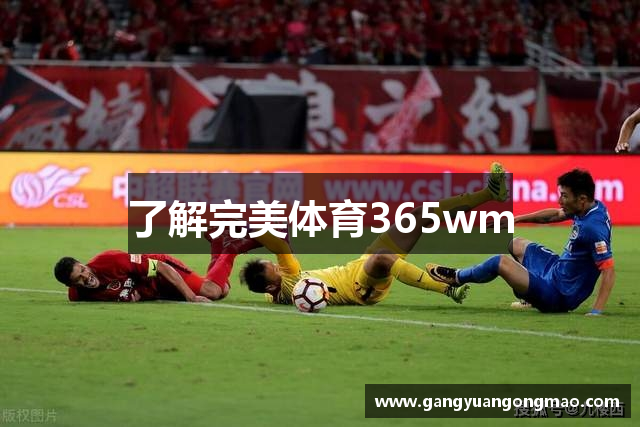 了解完美体育365wm